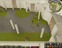 Cryptic clue - talk squire falador.png