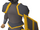 Iron gold-trimmed armour