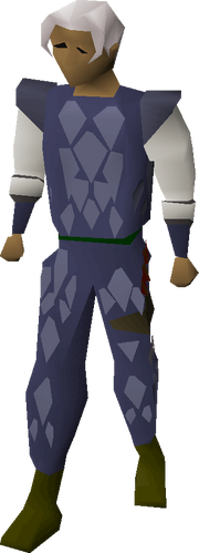 Blue d'hide armour equipped