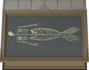 A Merfolk Skeleton