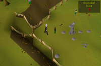 Cryptic clue - speak gnomeball referee.png