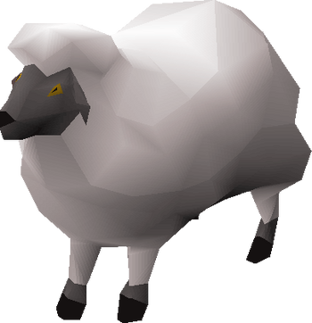 Sheep