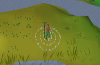 Cryptic clue - salve river island.png