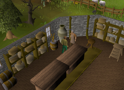 Lumbridge General Store