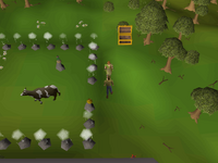 Cryptic clue - talk dominic nmz.png