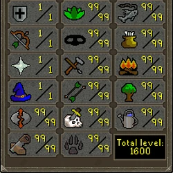 Skill Pure | Old School Runescape Wiki | Fandom