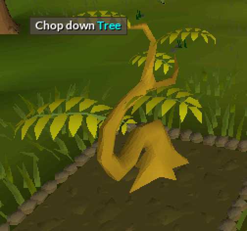 Pineapple plant - OSRS Wiki