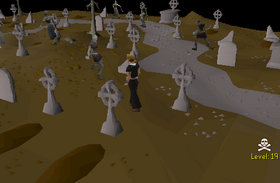 Graveyard of Shadows