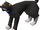 Cat (Wintertodt Camp)