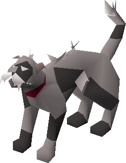 Wily Cat Old School Runescape Wiki Fandom