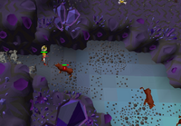 Cryptic clue - kill hellhound