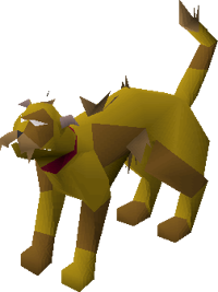 Wily cat (brown) pet