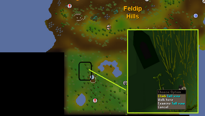 Feldip Hunter area Eagle