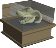 A Wyvern skull