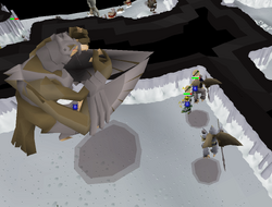 Fighting Kree'arra