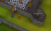 XMarks Dig Lumbridge Castle