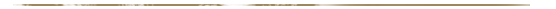 Horizontal Line.png