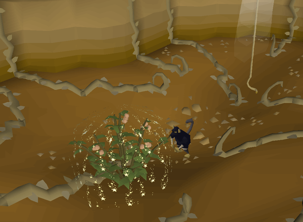 OSRS Fairy Ring Overview