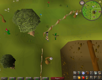 Cryptic clue - talk gnome trainer.png