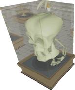 A Mandibular Maximus