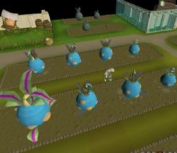 A player tending to several  plants.