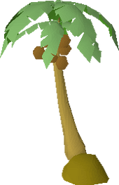 Palm tree