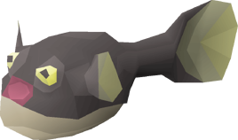 Puffer Fish deflated