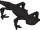Black salamander (Hunter)