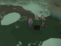 Treasure Trails Guide Cryptic clues Elite Old School RuneScape