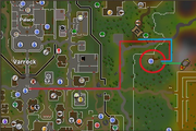 Tolna's rift location