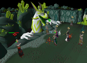 Fighting Great Olm