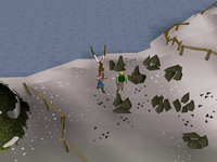 Cryptic clue - talk to Miner Magnus.png