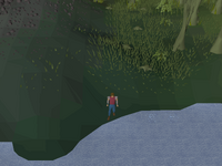 Cryptic clue - Dig next to the fish.png