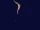 Dd8nmsx-94e90904-6701-45a6-8dd7-1a03bc4aff45 (2).png