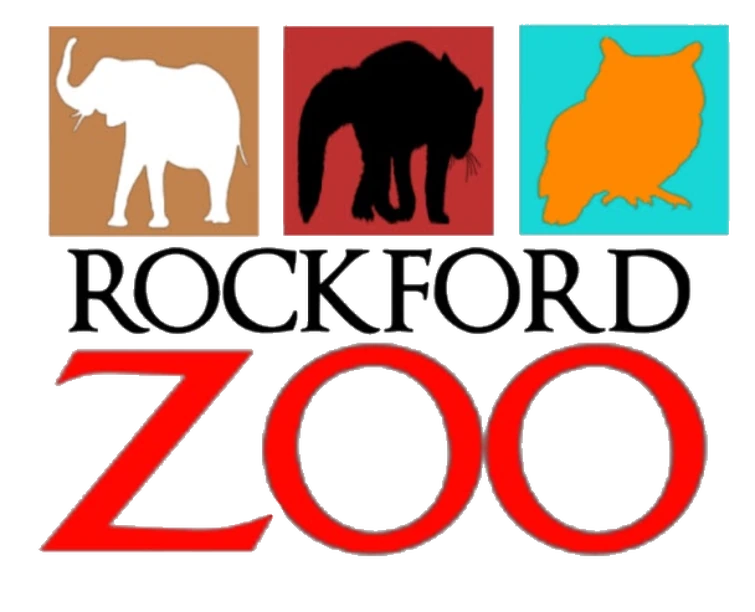 Discuss Everything About Idea Wiki Fandom