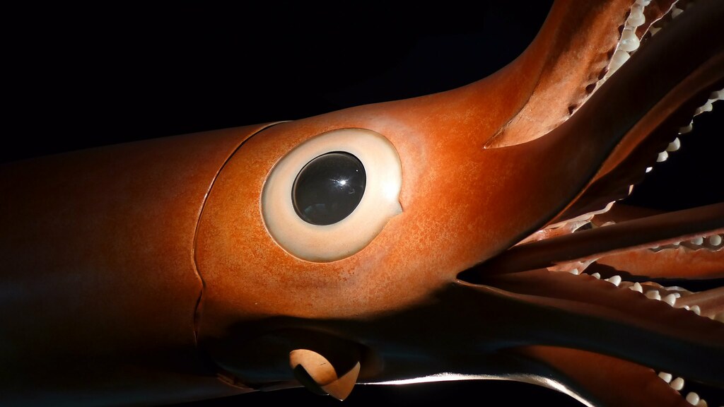 Gold XD's phase 201 kind of looks like a giant squid eye | Fandom