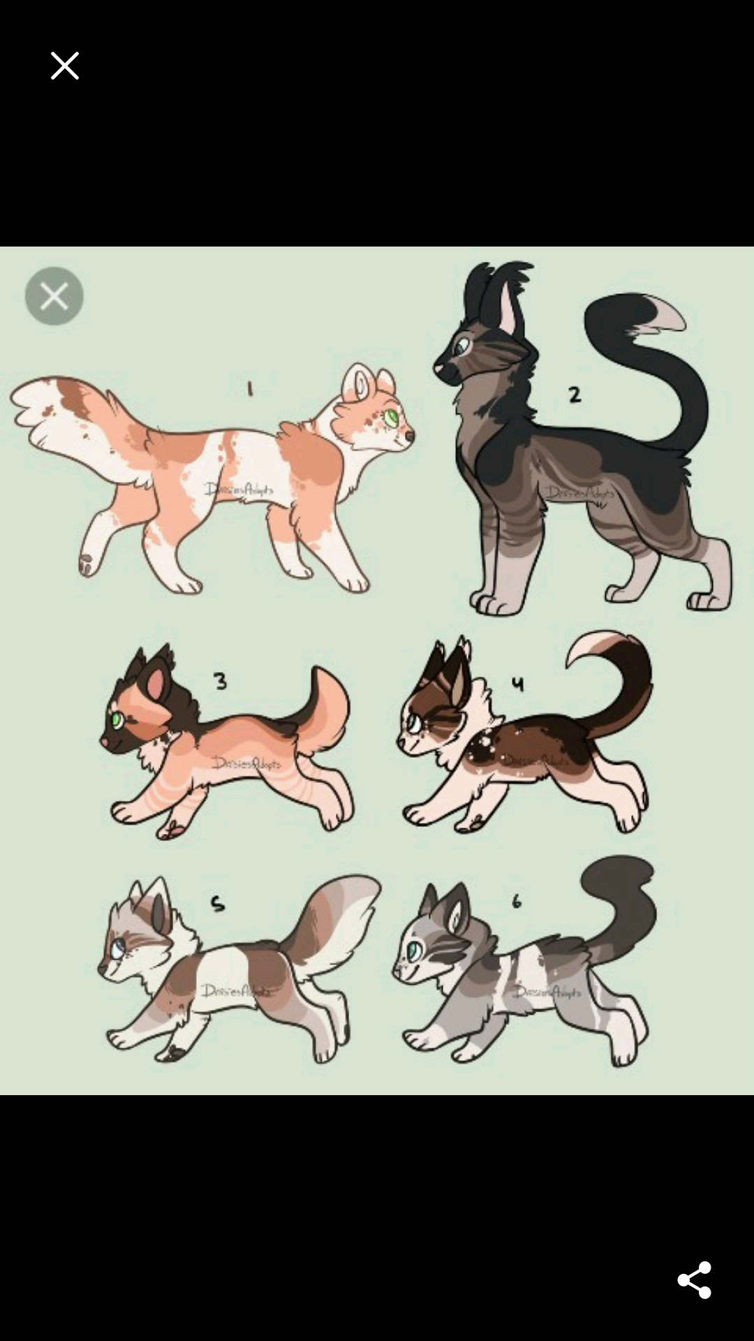 Warrior Cats Дэйси