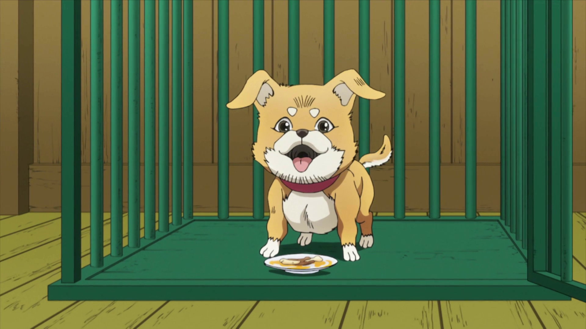 what is jojos dogs name