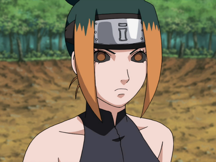 Fandom Image