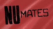 NuMates
