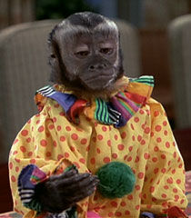 Drunk-monkey-dr-dolittle-29.jpg