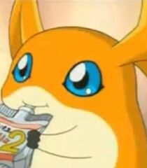 Patamon-digimon-adventure-02-7.67.jpg