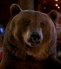 Archie-the-bear-dr-dolittle-2-6.09.jpg