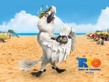 Rio (2011 film)/Gallery