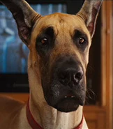 Marmaduke-marmaduke-59.6.jpg (12 KB) Marmaduke (from Marmaduke)