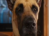 Marmaduke (Character)