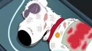 Wrap-Fans-protest-death-Brian-dog-Family-Guy-11272013-ver2.jpg (46 KB) Brian is dead