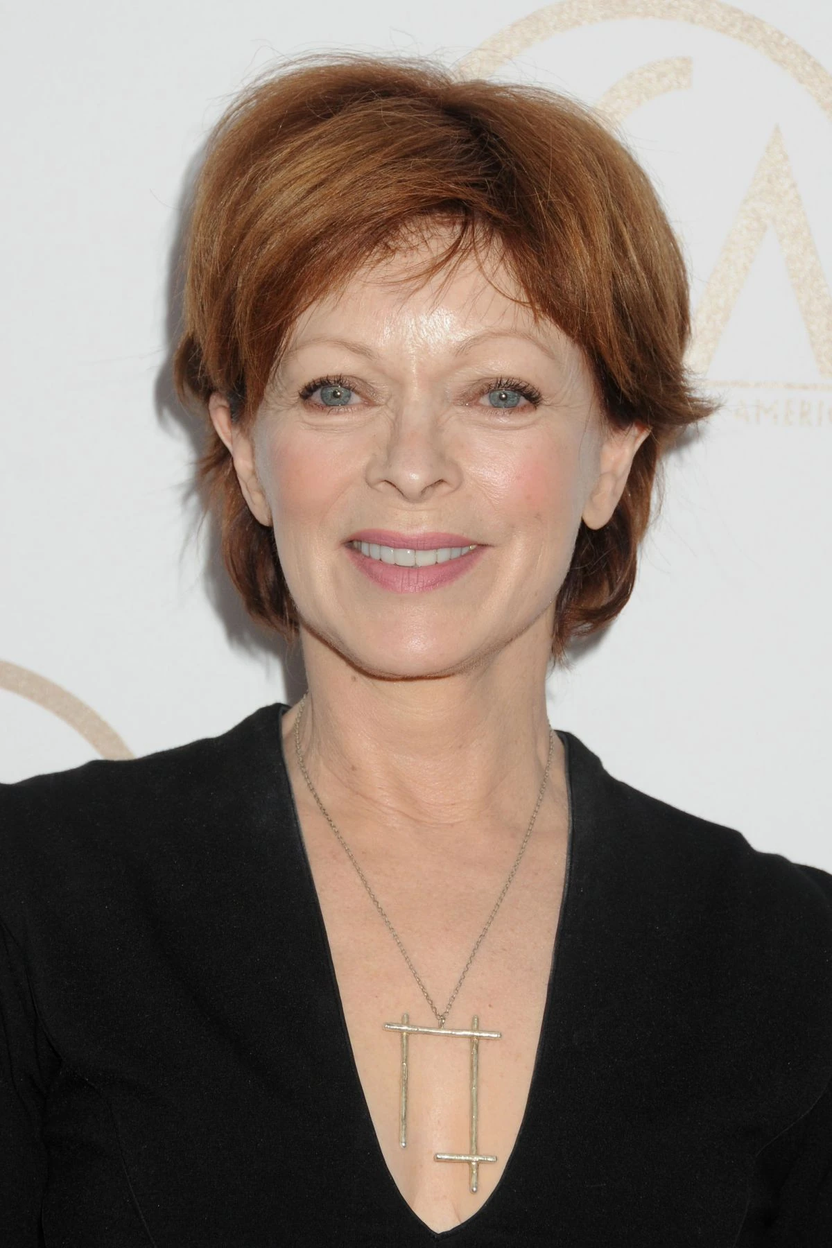 programmi tv con frances fisher