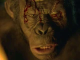 Koba (20th Century Fox and Chernin's Planet of the Apes)