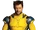 Wolverine (Marvel Cinematic Universe)